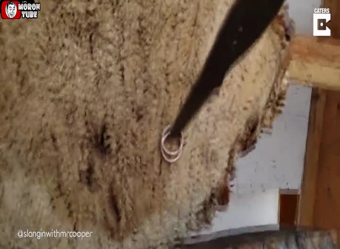 Video: This virtuoso knife thrower makes a good shot